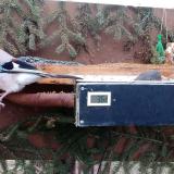 photo 2021-02-21 07-26-13