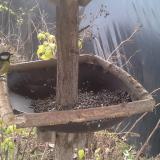 photo 2019-12-21 11-00-42