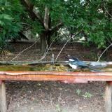 photo 2021-08-23 15-05-16