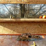 photo 2022-01-22 12-43-40