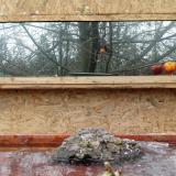 photo 2022-01-25 11-48-04