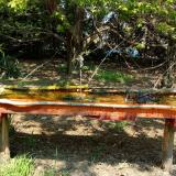 photo 2021-04-22 12-24-02