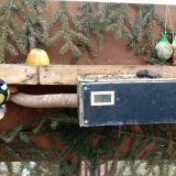 photo 2021-02-01 11-20-09