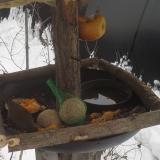 photo 2019-01-26 14-13-50