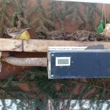 photo 2021-02-12 09-46-03