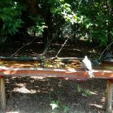 photo 2021-07-21 09-53-32