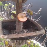 photo 2019-12-04 10-37-39