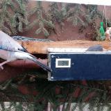 photo 2021-02-21 07-19-07