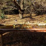 photo 2021-10-25 14-26-53