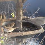 photo 2019-12-26 13-51-11