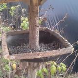 photo 2019-12-13 13-17-50