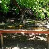 photo 2021-05-10 11-29-31