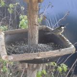 photo 2019-12-15 11-54-50