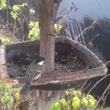 photo 2019-12-14 10-33-01