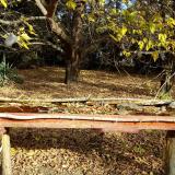 photo 2021-10-21 09-54-17