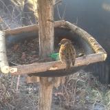 photo 2019-02-14 07-38-02