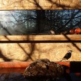 photo 2022-01-28 09-02-28