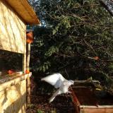 photo 2021-12-31 09-04-54