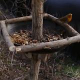 photo 2019-01-04 14-03-11