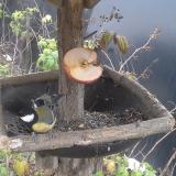 photo 2019-12-05 14-27-36