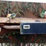 photo 2021-02-07 14-08-05