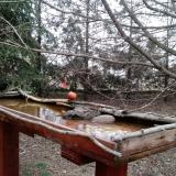 photo 2022-03-16 10-59-20