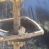 photo 2019-02-18 11-49-11