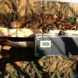 photo 2021-02-14 14-41-34