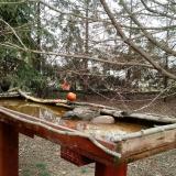 photo 2022-03-17 12-44-57