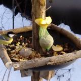 photo 2019-01-12 15-06-55