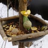 photo 2019-01-12 14-53-53