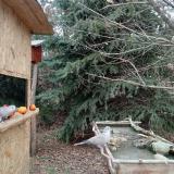 photo 2021-12-22 13-43-46