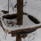 photo 2019-01-08 15-40-21