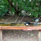 photo 2021-08-23 15-07-39