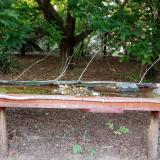 photo 2021-07-20 19-07-17