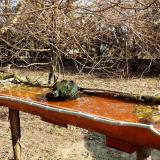 photo 2021-03-26 09-11-32