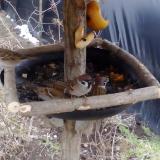 photo 2019-02-02 10-57-51