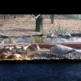 photo 2021-11-27 12-36-13