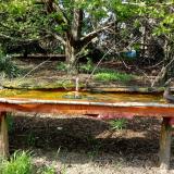 photo 2021-04-22 16-07-58