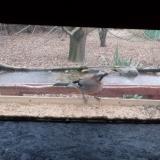 photo 2021-12-09 08-29-07