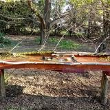 photo 2021-04-10 07-59-02