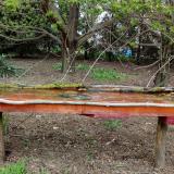 photo 2021-04-17 16-44-38