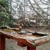 photo 2022-03-17 16-32-14