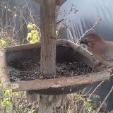 photo 2019-12-22 11-32-06