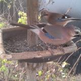 photo 2019-12-19 09-19-05