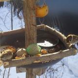 photo 2019-01-27 09-41-34