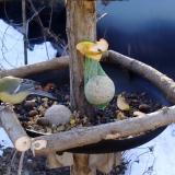 photo 2019-01-15 09-01-07