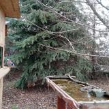 photo 2021-12-12 11-41-53