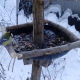 photo 2019-01-07 08-07-35