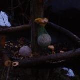 photo 2019-01-18 07-02-01